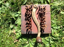 "Snake in the Grass" by Michael Petrie