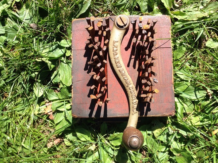 "Snake in the Grass" by Michael Petrie